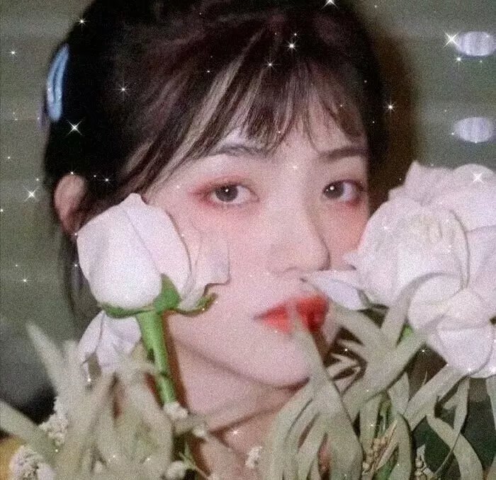 生命密码